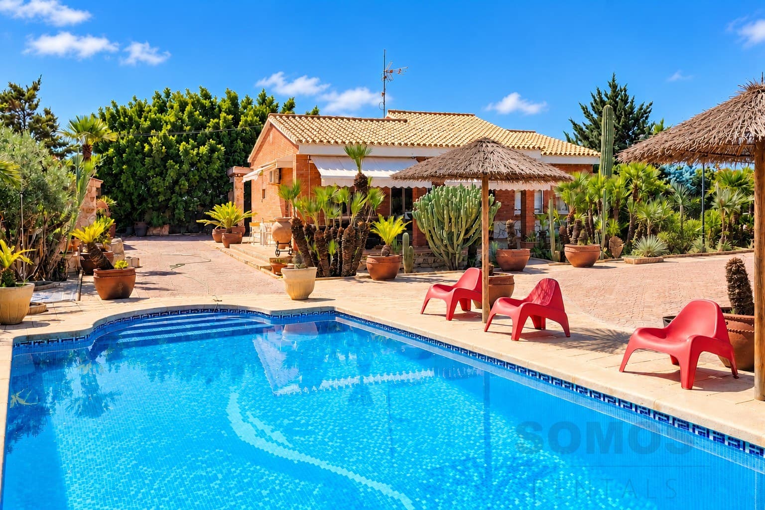 Villa Cactuario, El Altet — fotografía 1