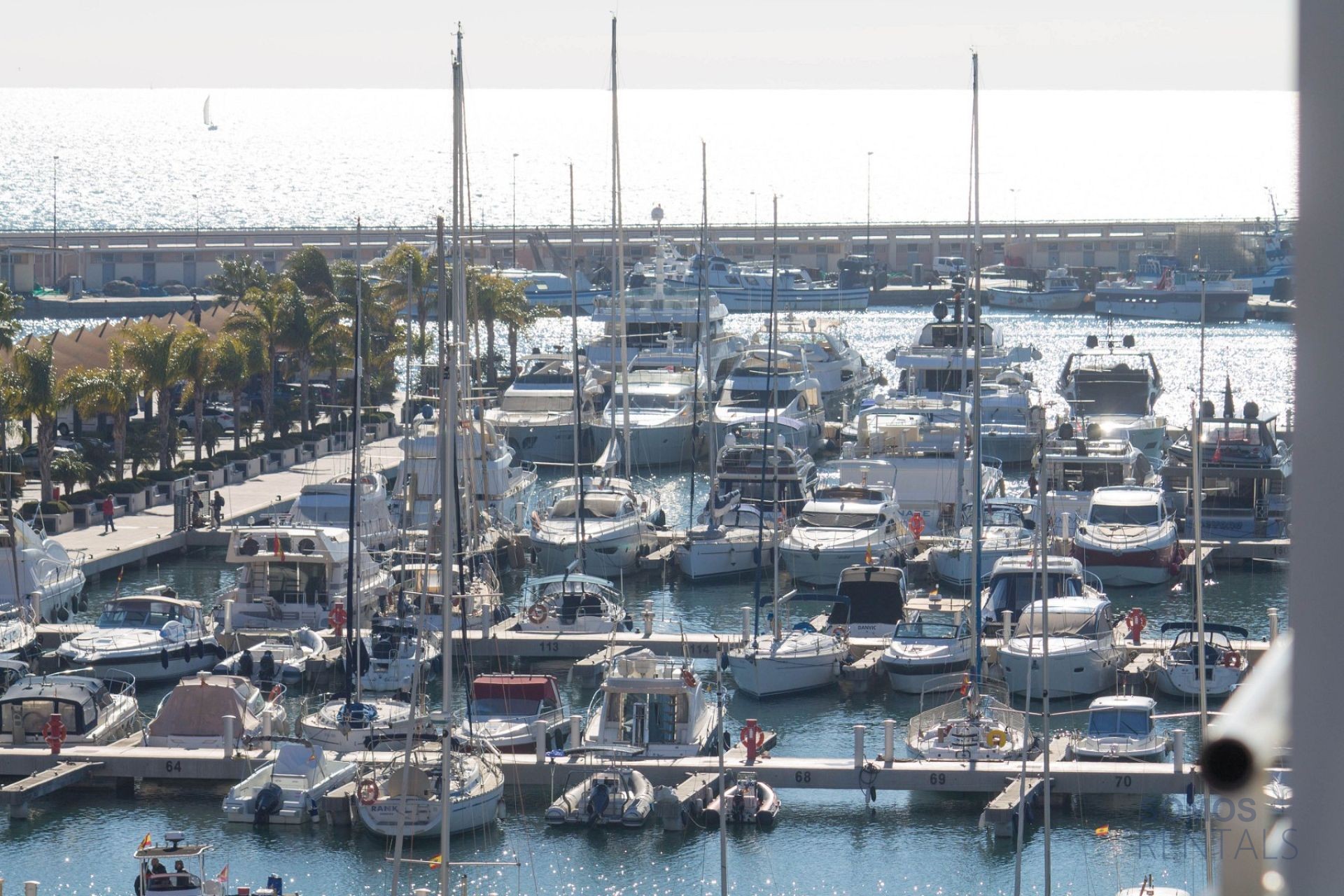 Apartamento del Puerto - Santa Pola photograph 14