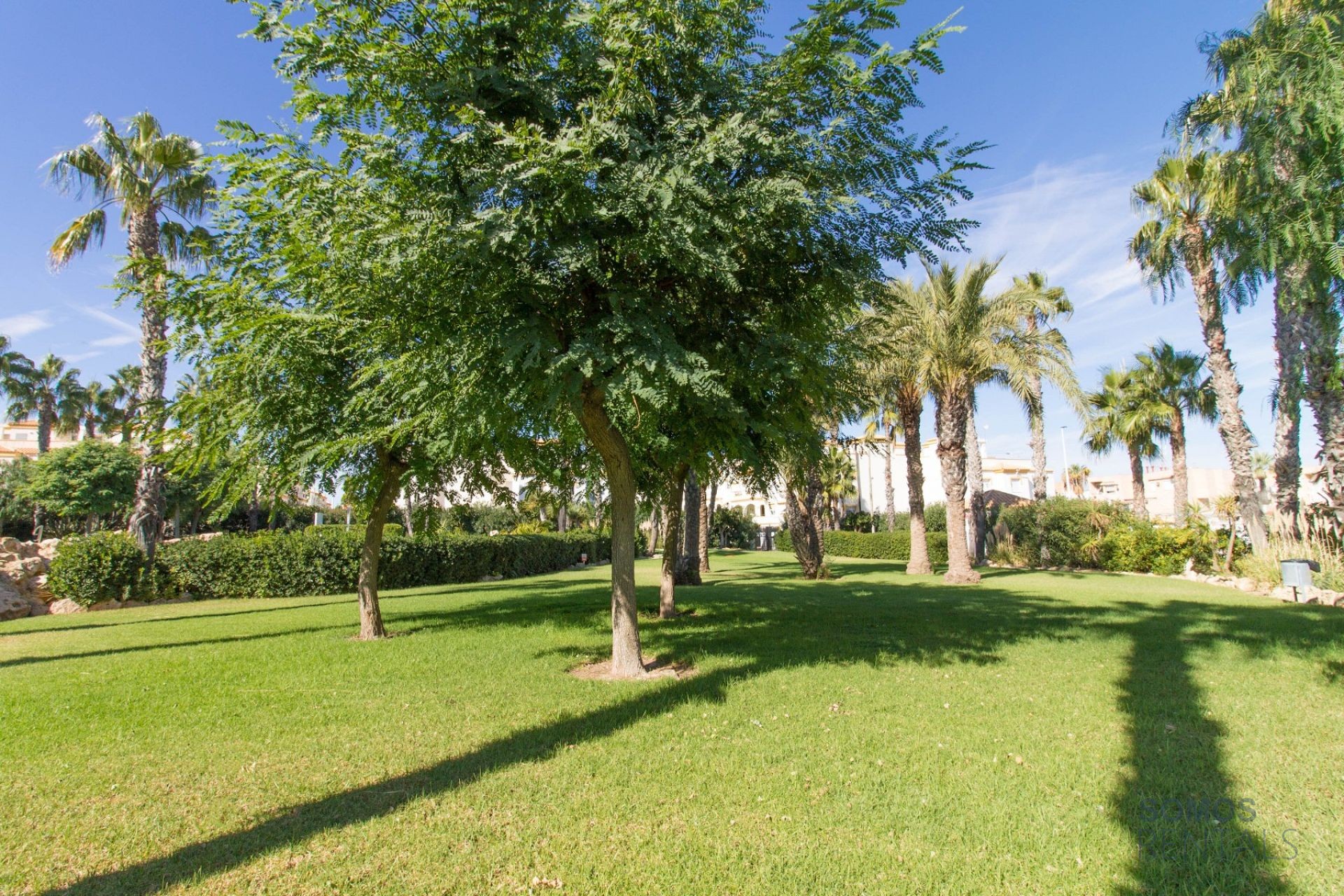 Casa Tropical, Gran Alacant — Foto 31