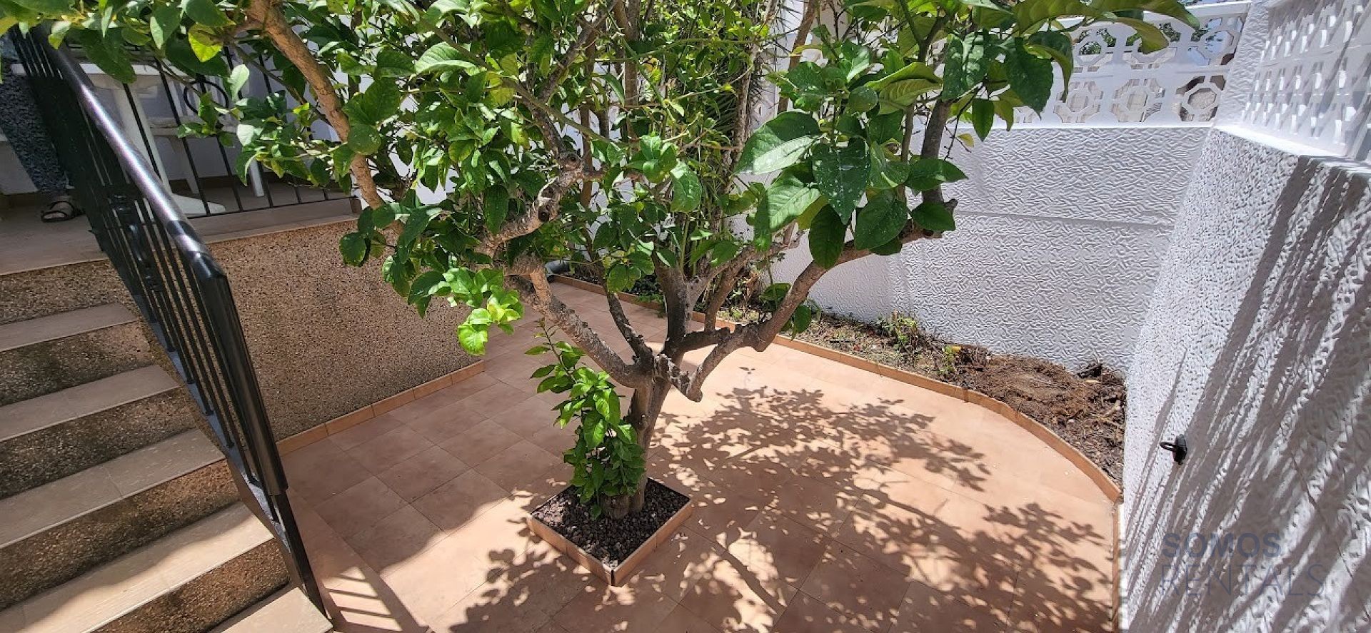 Casa Tropical, Gran Alacant — Foto 4