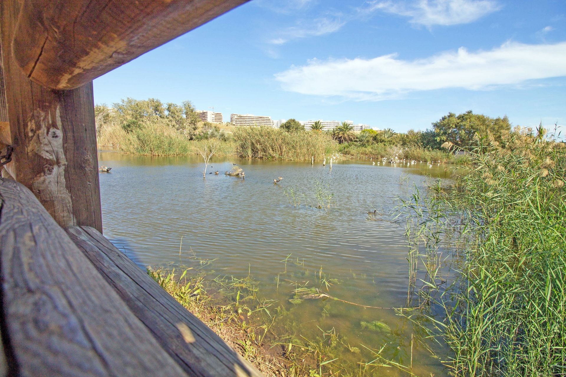 Casa Galvany, Gran Alacant — photographie 47