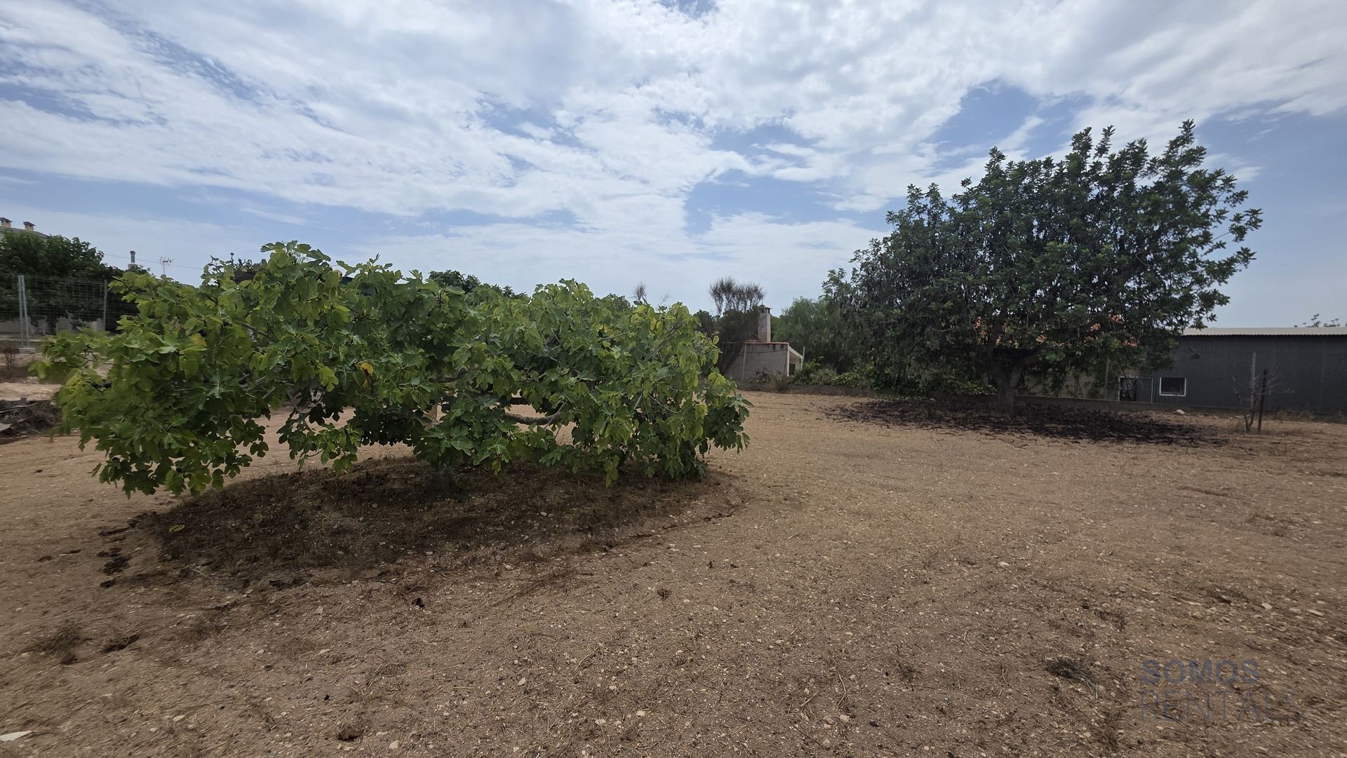 Villa Carmen, La Escuera — foto 34