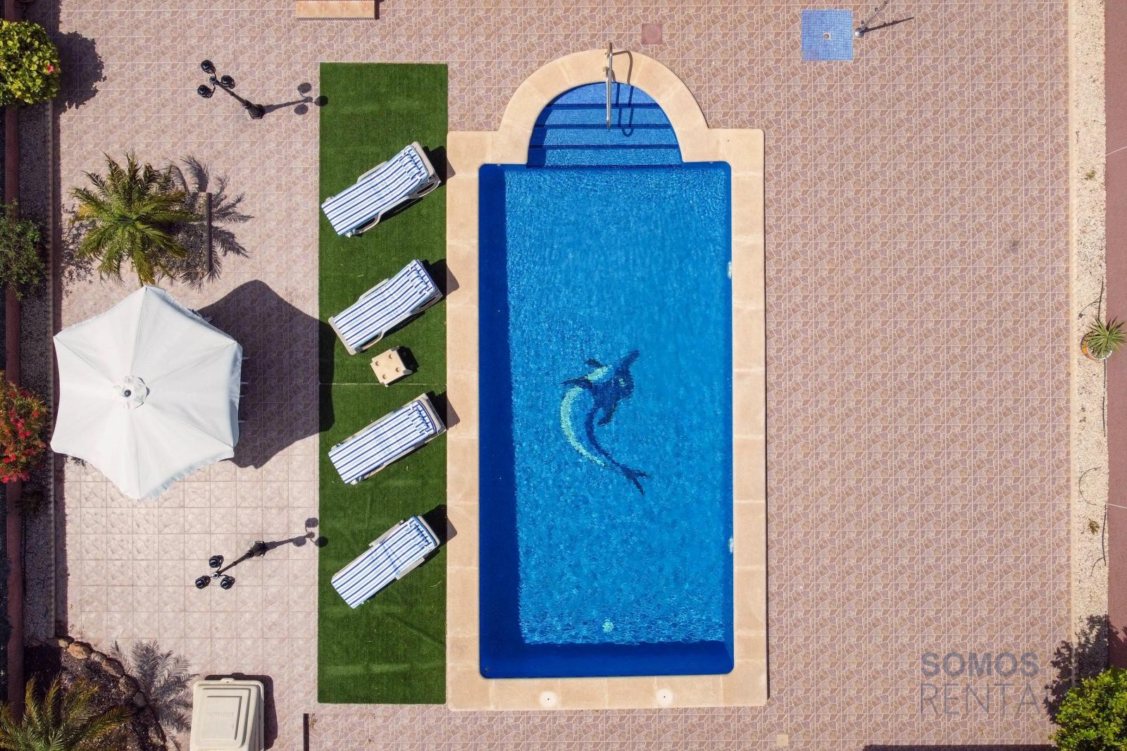 Villa Berna, Urb La Marina — photographie 6