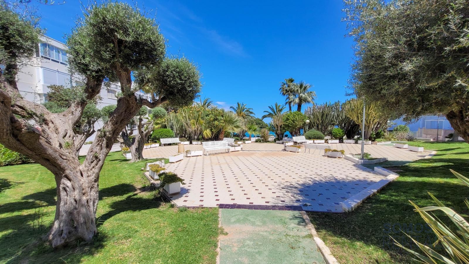 Apartamento Panorama - Gran Alacant photograph 50